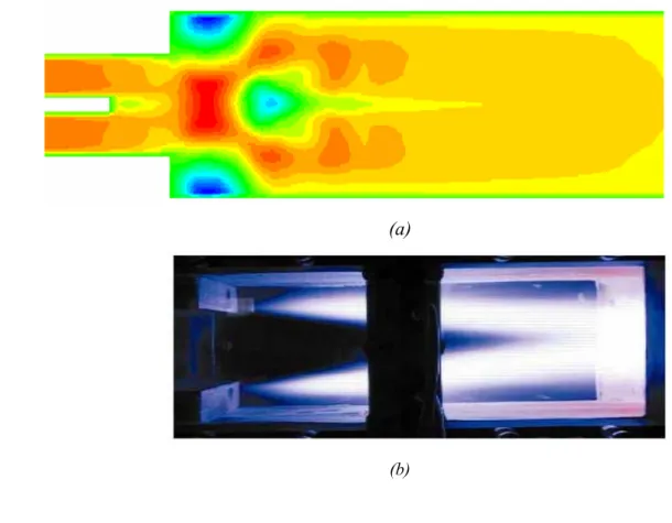 Figure 3.8 (a)  Visualisation 3D du front de la flamme 