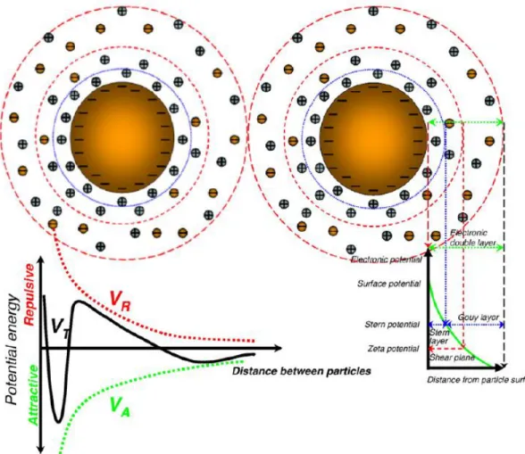 Fig. 1. 16. Illustration of attractive and repulsive forces between nanoparticles according DLVO theory  [147]
