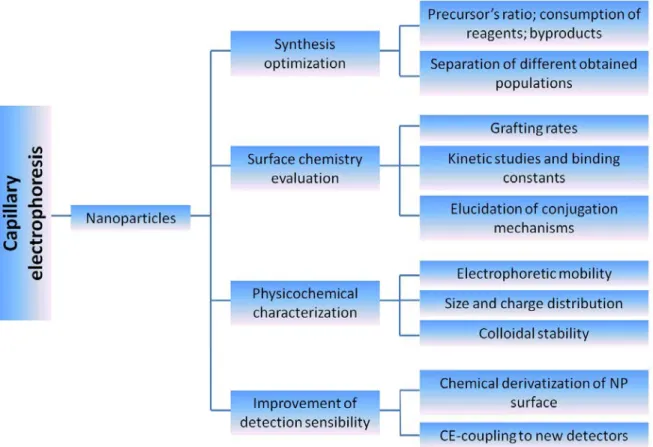 Fig. 1. 19. A comprehensive scheme for the control and optimization of nanoparticle synthesis and  properties based on analytical electrokinetic methodologies (Adapted from [192])