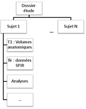 Figure 3.2 Schéma de l’arborescence associée à une étude réalisée avec NIRS10