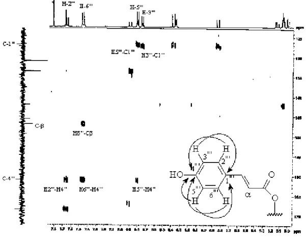 Figure IV. 28 : Spectre HMBC étalé du composé E 