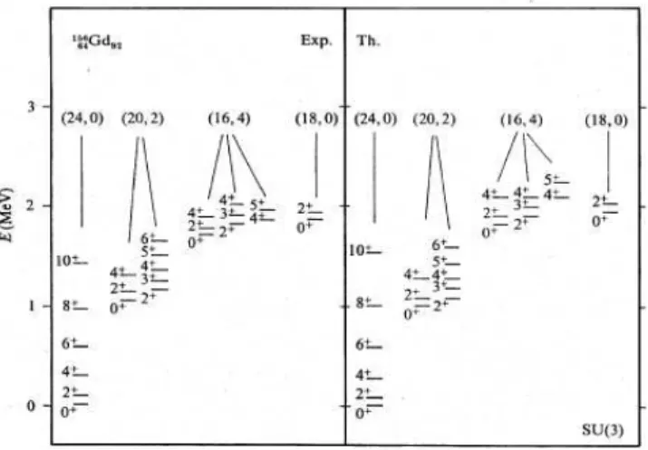 Fig. 1.2  Spetre d'énergie alulé à la limite SU(3) pour N = 12 omparé au spetre expérimental du