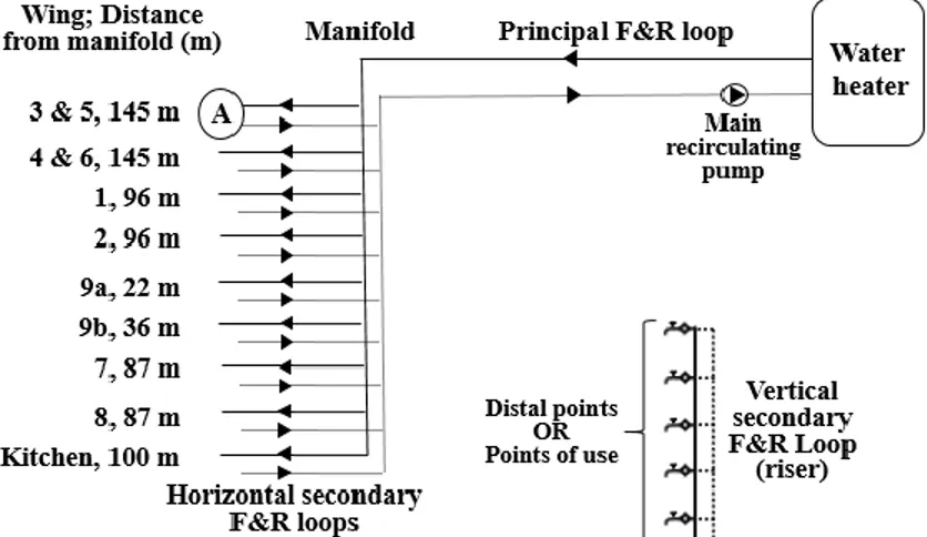 Figure 4.1 : Hot water distribution system schematic, including pumps location, wing(s) supplied  by each horizontal secondary flow and return (F&amp;R) loops, distance from the manifold, and riser 