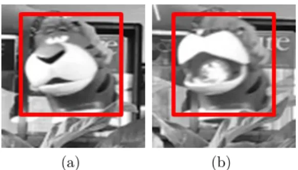 Figure 1.6 Exemple de suivi d’objet articulé sur la séquence tiger1 [3].