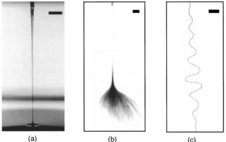 Figure  2.12:  Jet  images  of  a  2  wt%  solution  of  PEO  (Mw  =  2  000  000)  in  water  during  electrospinning