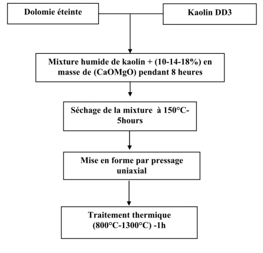 Figure IV-1 Schéma général des différentes étapes pour la préparation des échantillons 
