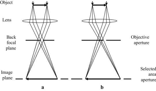 Figure 2.6: Ray diagrams showing the principles of formation of (a) BF contrast and (b) DF contrast