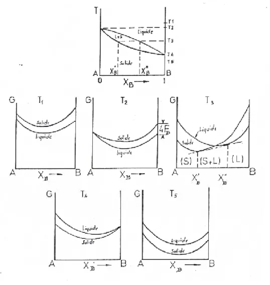 Figure I.29 : Courbes d’enthalpies libres à diverses températures pour une solution  biphasés et diagramme d’équilibre correspondant