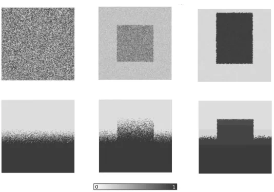 Figure 4.3: Ambiguous boundary in the absence of non cell-autonomous processes. Simulations of the system with distinct initial conditions (top row) in the absence of HP diffusion σ A = σ B = 0