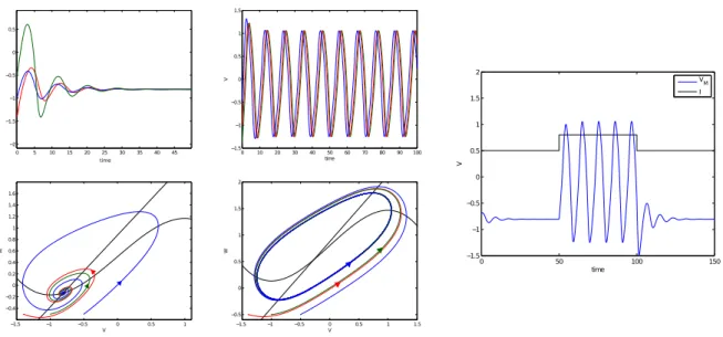 Figure 1.1: Time evolution of the voltage variable on the FitzHugh-Nagumo equations and some trajec- trajec-tories of different solutions on the phase plane, in the case of one stable steady state (left), a stable limit cycle (center) and a strong step cur