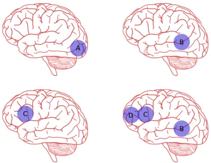 Figure 1.2: Schematic specific regions of the cortex while reacting to a single word (based on [Kandel et al., 2000])