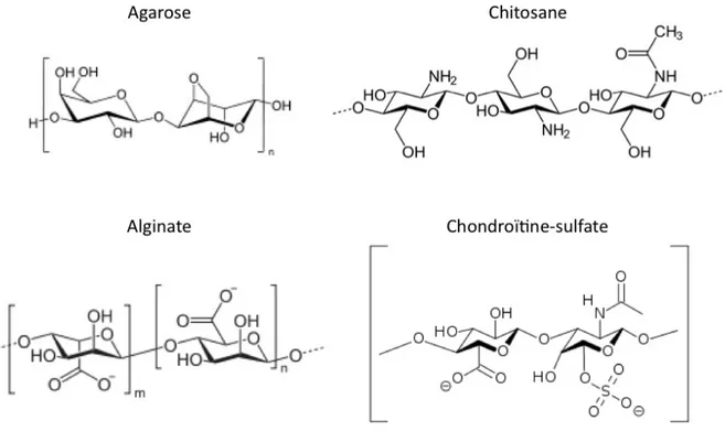 Figure 1.4 : Représentation des unités répétées de divers polymères polysaccharidiques