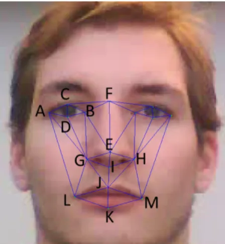 Figure 2.5: Face on a frame of a video sequence as well as its related control points.