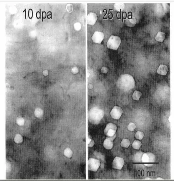 Figure I.3.1 Observation de cavités au cours de l'irradiation d'un acier 316 irradié aux électrons de 1 