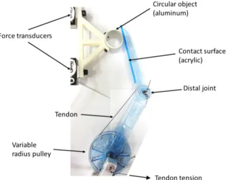 Figure 2.3 Exemple d’un doigt actionné par un tendon, tirée de Spanjer et al. (2012a)