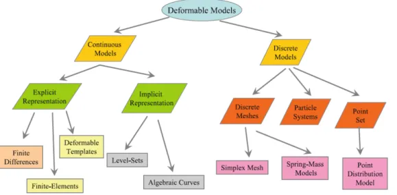 Figure 2.9 Schéma de classification des modèles déformables de segmentation basé sur leur repré- repré-sentation géométrique