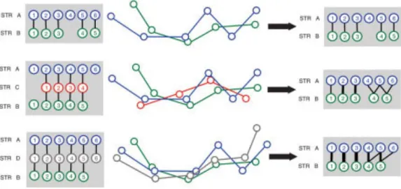 Figure 1.5.4. Extension des correspondances par paires entre les structures A et B utilisant C et D  comme intermédiaires