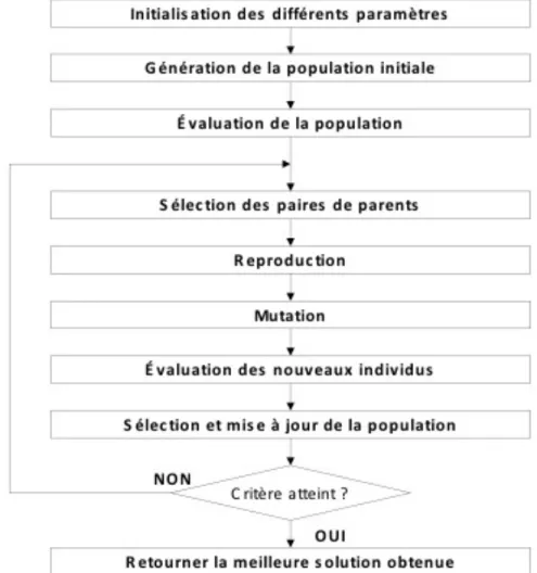 Figure 2.2 : Schéma de principe de l’algorithme génétique 