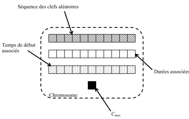 Figure 3.1 : Modèle d’un chromosome en développement orienté objet 