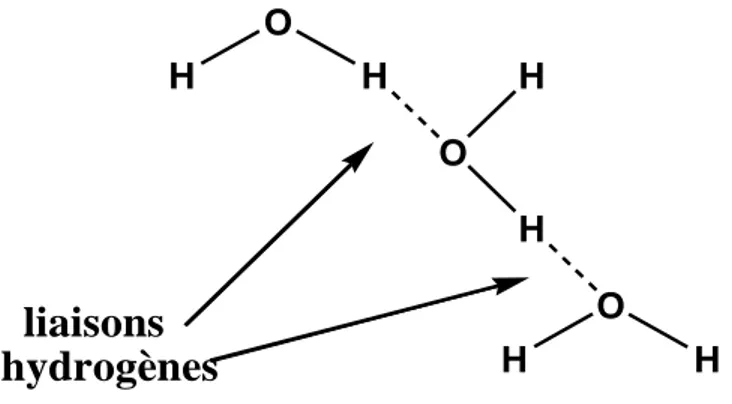 Figure 7 : Exemple de deux liaisons hydrogène entre des molécules d'eau. 