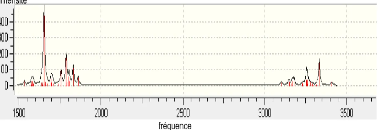 Figure 7 : Les spectres IR de  Syn-Anti calculé en HF/6-31G(d.p)   