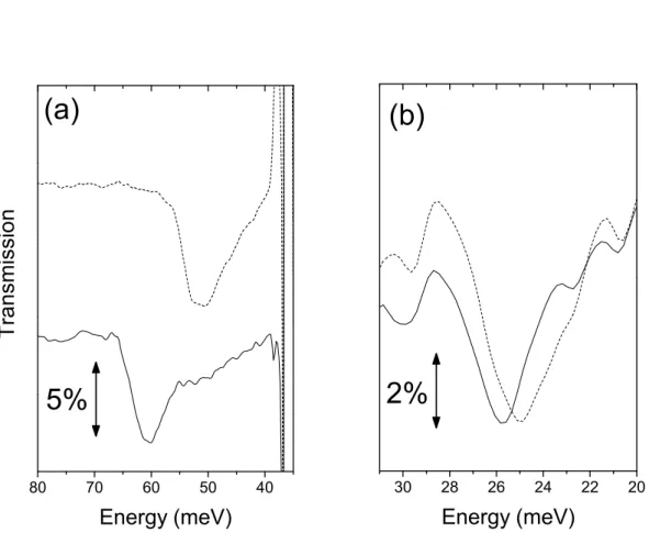 Figure 1.8: FIR transmission spectra at B = 0 T for radiation linearly polarized along the [110] (solid curve) and the [110] (dashed curve) directions for sample N1 (a) and sample P1 (b)