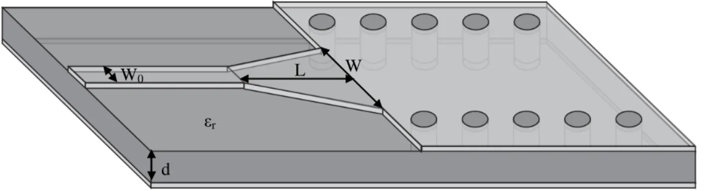 Figure 1.2: Transition d'un GIS vers un microruban avec ses paramètres. 