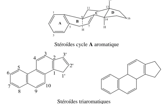 Figure II.1.4 : Les Structures de base des Stéroїdes Aromatiques. 1819HH1234567891011121314151617HABCD1356891011 13 17151819HHABCD13568910111317151819HHABCD7