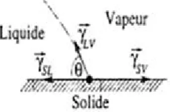 Figure 1.7 : Contact entre trois phases différentes. Dans ce cas  La loi de Neumann devient :