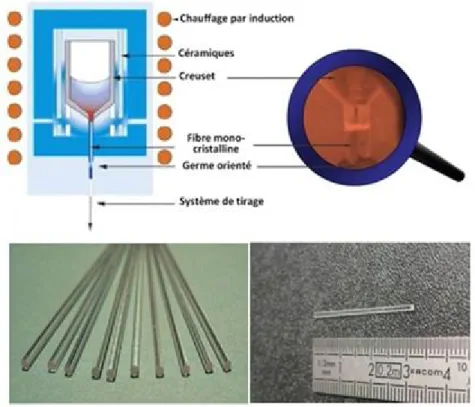Figure 1.19 : Fibres monocristallines tirées par la méthode micro- Pulling Down avec un schéma descriptif de cette machine.