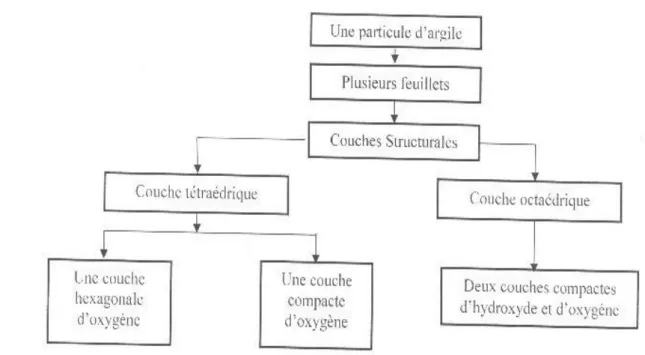 Figure II.2: Représentation de la structure minéralogique d’une particule d’argile [16]