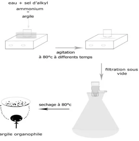 Figure II.1: Protocole de préparation d’une argile organophile III.2.2 Préparation des polymères composites acrylate/ argile: