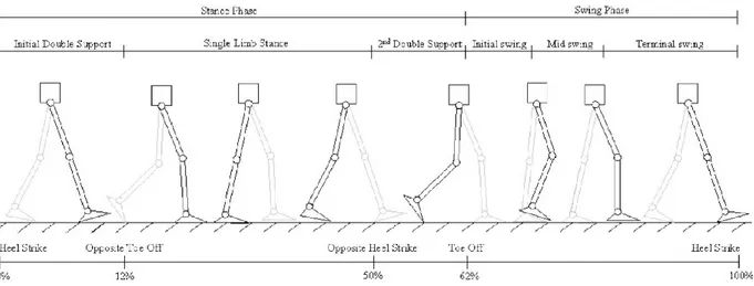 Figure 2-1: Gait cycle phases. Copyright © 2008 IEEE [15]  