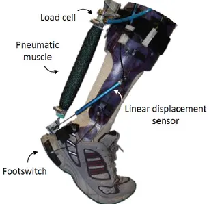 Figure  2-9:  Pneumatic  artificial  muscle  used in an ankle exoskeleton [85] 
