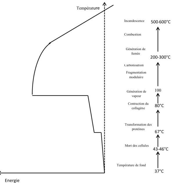 Figure 25 Conséquences  de l'énergie thermique produite 