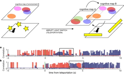 Figure 3.4: The teleportation experiment: test session. After the abrupt switch of visual context the internal representation of the environment oscillates between the two training boxes A and B, identified by analysis of the correlation (represented in re