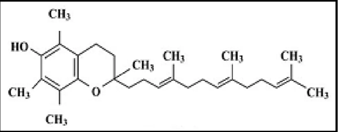 Tableau IV.3: Longueur d’onde d’absorption du tocotriénol et des trois modèles  