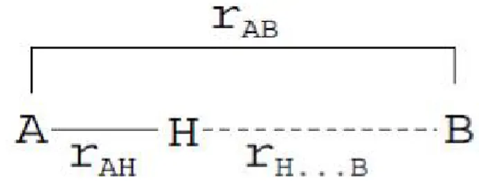 Figure 2: schéma représentatif de la liaison hydrogène.