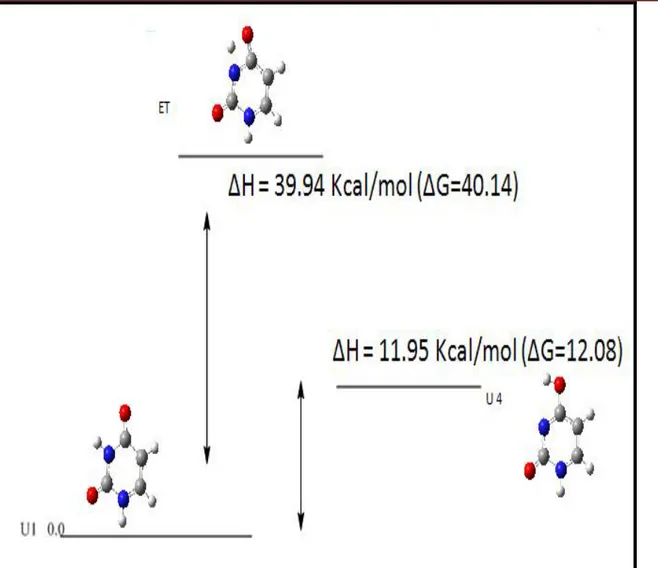 Figure 9: diagramme énergétique du processus U1  U4.
