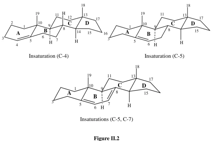 Figure II.3 