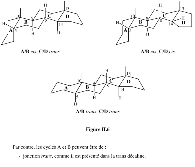 Figure II.6 
