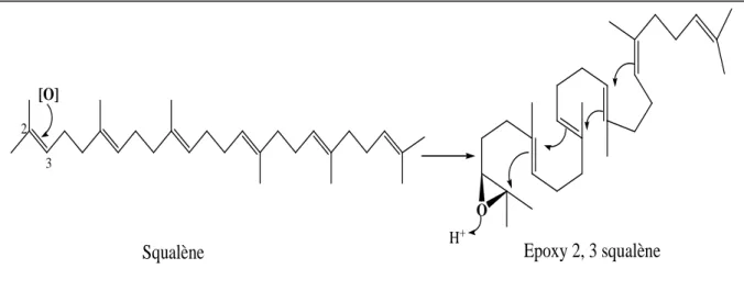 Figure II.22 