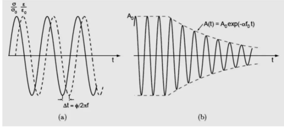 Figure 1.7: Deux modes de mesure de l’amortissement : (a) mode forcé; (b) mode libre [10]