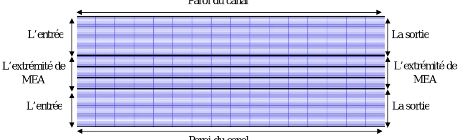 Figure 2 : présentation du maillage et des conditions aux limites dans le plan oxy.