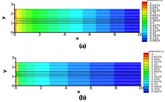 Figure 7 : Distribution des champs de pression, pour une pression d’entrée