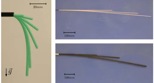 Figure 1.11 – Trois matériaux soumis à la force de gravitation : a) tige d’élasto- d’élasto-mère, b) tige de hêtre et c) tige de nylon.