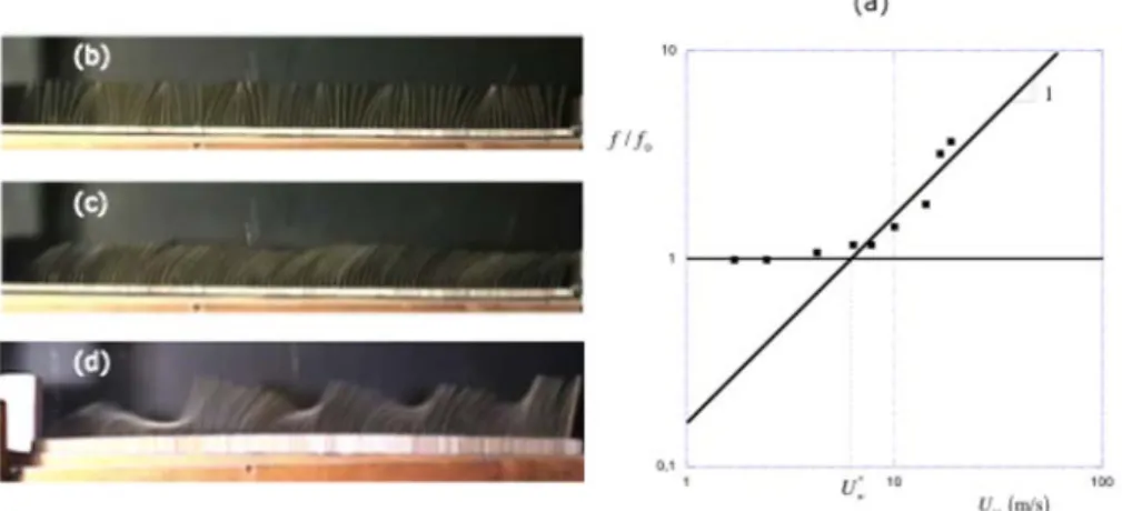 Figure 3.2 – Trois régimes de vibration des plaques en fonction de la vitesse du vent.