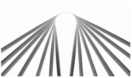 Figure 4.10 – Le rayon de courbure longitudinale R du pli est constant pour différents angles entre les deux brins.