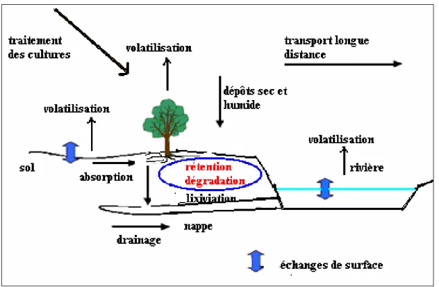 Figure 1.1. Devenir des herbicides dans l’environnement [20]. 