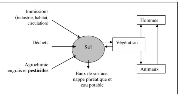 Figure 2.1. Le sol, réservoir, tampon et transformateur des polluants [27]. Sol Immissions(industrie, habitat, circulation) Déchets Agrochimie 